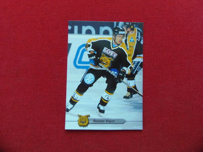 Roman Vopat (ILVES)