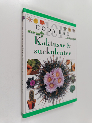 Terry Hewitt : Kaktusar & Suckulenter