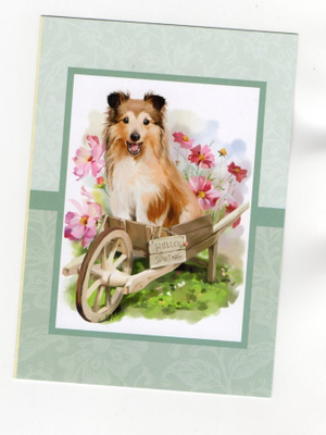 Hello Spring...°°LASSIE & KUKKASET° 2-osainen KORTTI