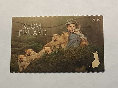 2633/ 2019 Metsäretki 1/2 o leimattu