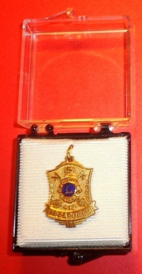 Lions Club Pinssi Treasurer