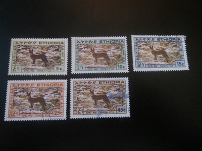 Etiopia: Simien kettu