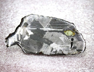 Meteoriitti levy pallasiitti 101 x 2 mm zoomorfinen Seymchan