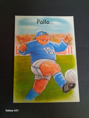 Terho Peltoniemi Pallo Hallussa? kulkematon
