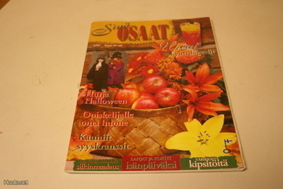 Sinä osaat 3/1999