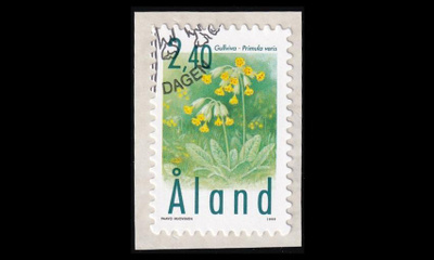 156 o Kevätesikko EPL (1999)