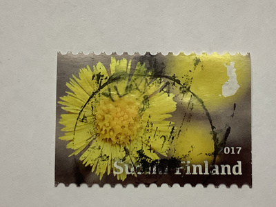 2504/ 2017 Neljä vuodenaikaa - Kevät o leimattu loisto