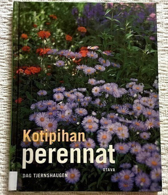 Kotipihan perennat