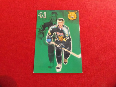 Raimo Helminen (ILVES)