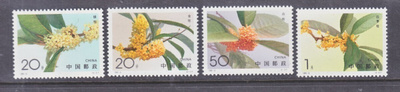 Kiina 1995-6 kukkia
