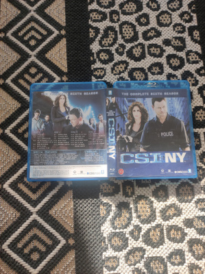 CSI:NY 6 season