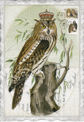 Barbara Behr: Pöllö