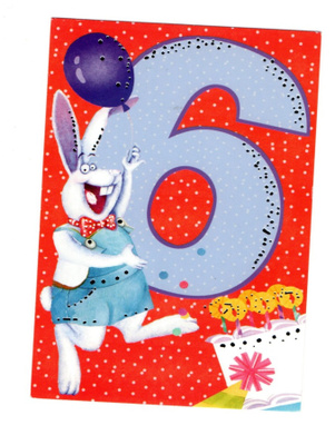°°6-VUOTIAS°° -KORTTI / (PALETTI)