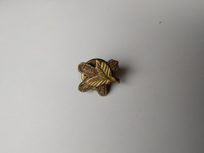 Sotaveteraani pinssi