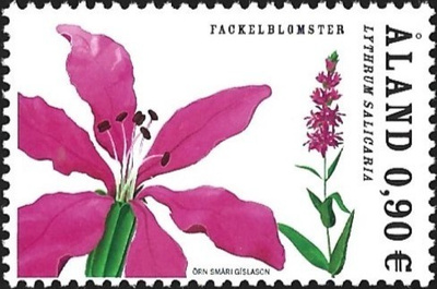 Åland 2007  Rantakukkia Rantakukka  0,90 €  ** LaPe 274