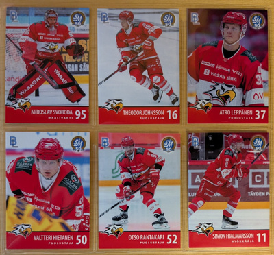2024-25 Blueline Series 1 Sport Team Set 12 korttia (145-156