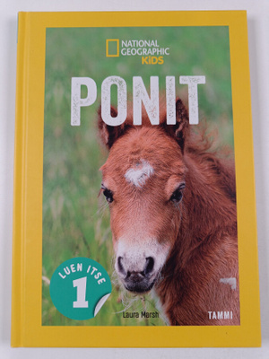 Laura Marsh : Ponit
