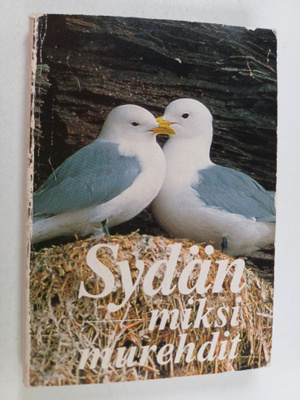 Sydän, miksi murehdit