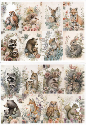 TARRAT 2 arkkia eläimet