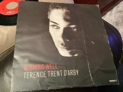 TERENCE TRENT D’ARBY - WISHING WELL