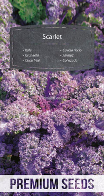 Lehtikaali "Scarlet" - siemenet #