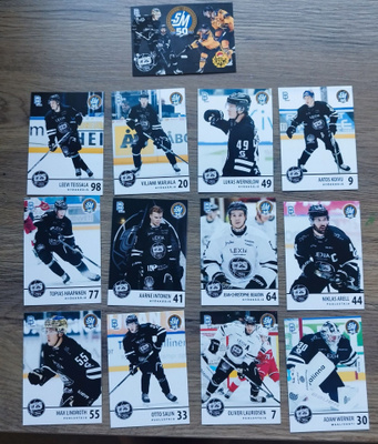 Liiga SM50 juhlaotteluboksi TPS