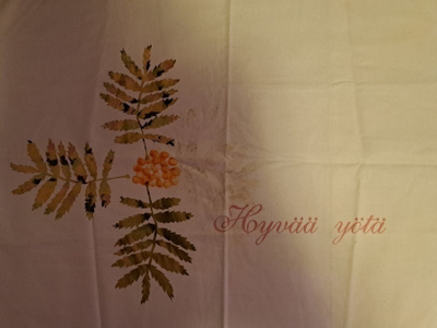 KARTEENI AINO AHO * PIHLAJA * HYVÄÄ YÖTÄ  * TYYNYLIINA