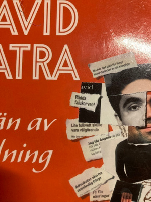 DAVID BATRA: VÄN AV ORDNING
