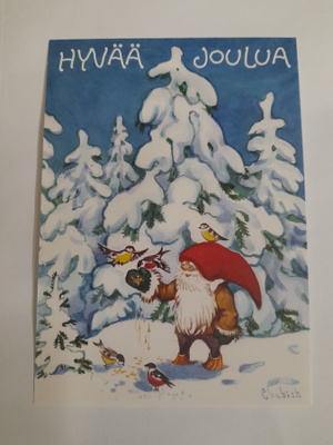 Joulupukki ruokkii lintuja