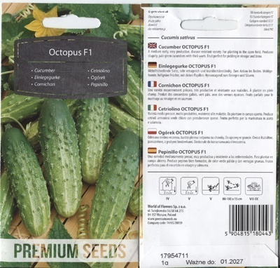 Kurkku "Octopus" F1 - siemenet #