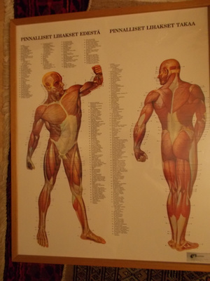 FYSIOTERAPIA TAULU