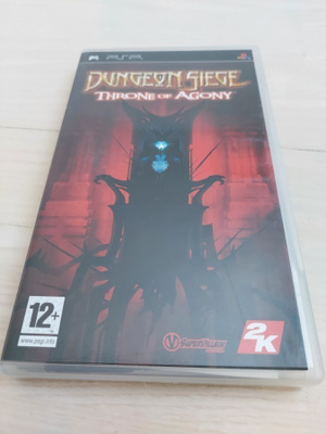 Dungeon Siege - Throne of Agony psp