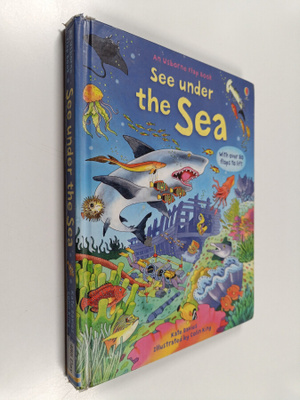 Katie Daynes : See under the sea