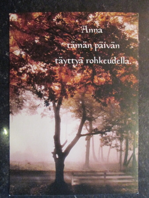 KULKEMATON LUOVA VOIMA KUVA ANJA CALLIUS