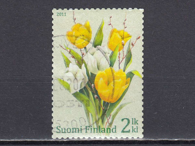 2011 Lape 2071 Tulppaanikimppu