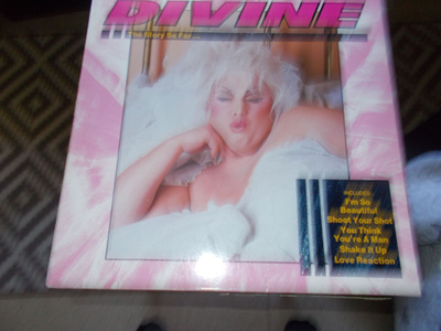 VINYYLI ALBUMI DIVINE ** THE STORY SO FAR ... **