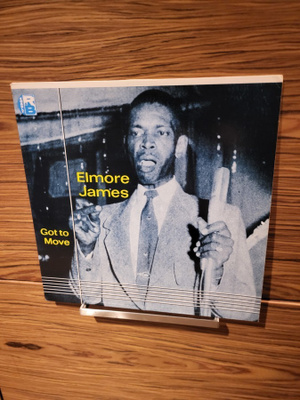 Elmore James - Got To Move