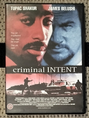 Criminal Intent - Rikollisin aikein