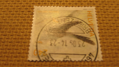 Sveitsi 2006: lintu - cuculus canorus