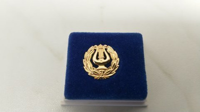 14 karaatin kultainen Lyyra pinssi, 585