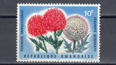 Ruanda 1966 Mi 157 Echinops amplexicaulis **
