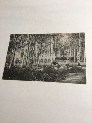 Saarijärvi,Maanviljelyskoulu  kulkenut 1918