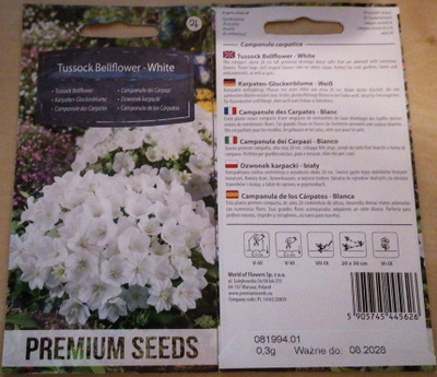 Karpaattienkello 'Tussock Bellflower - White' - siemenet #