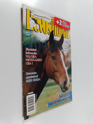 Hevoshullu 8/2004