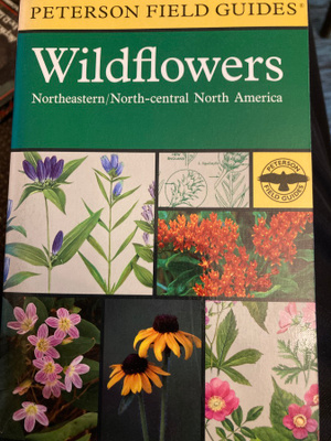PETERSON - MCKENNY: WILDFLOWERS