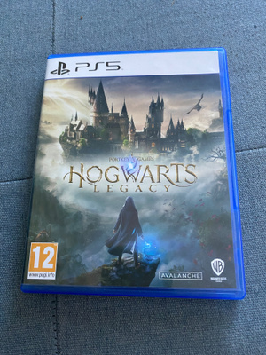 PS5 Hogwarts Legacy