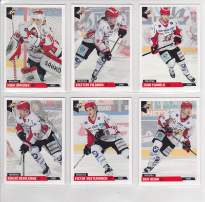 2019-20 Cardset Series 1 Sport Team Set 12 korttia (133-144)