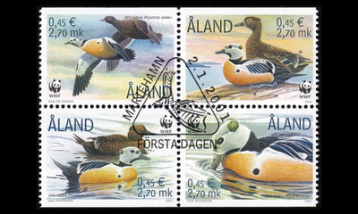 183-6vb o Allihaahka neliö (2001)