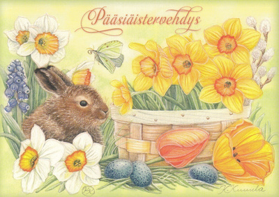 Katri Kuusela: Pupu ja narsissit