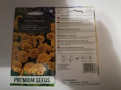 Ryhmäsamettikukka "Aurora Yellow Fire" - siemenet #